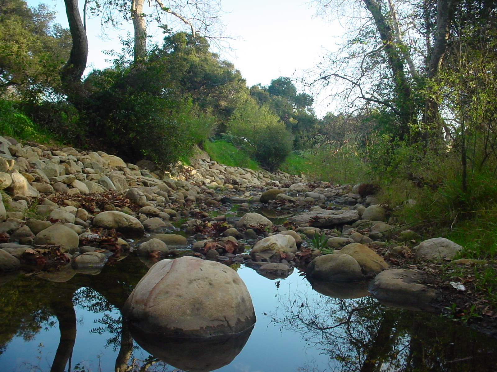 Mission Creek Parks and Recreation